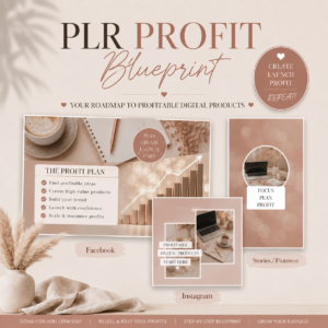 Make Money With PLR Blueprint, Video Course Upgrade, Passive Income, Side Hustle, Digital Product, Resale Rights, Resell Rights, MRR